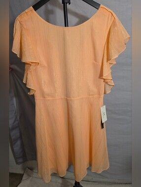 NWT Halston Heritage Peach Shimmer Metalic Midi Dress Size 4
